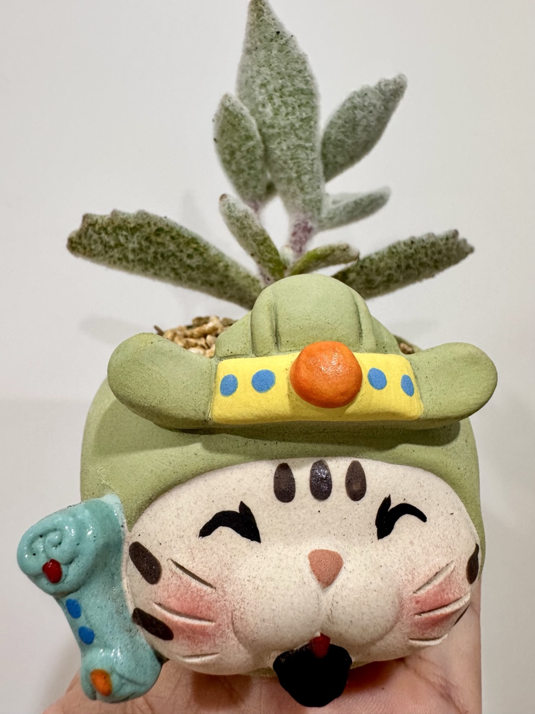 绿色招财猫造型花盆，里面种着一株毛茸茸的福兔耳