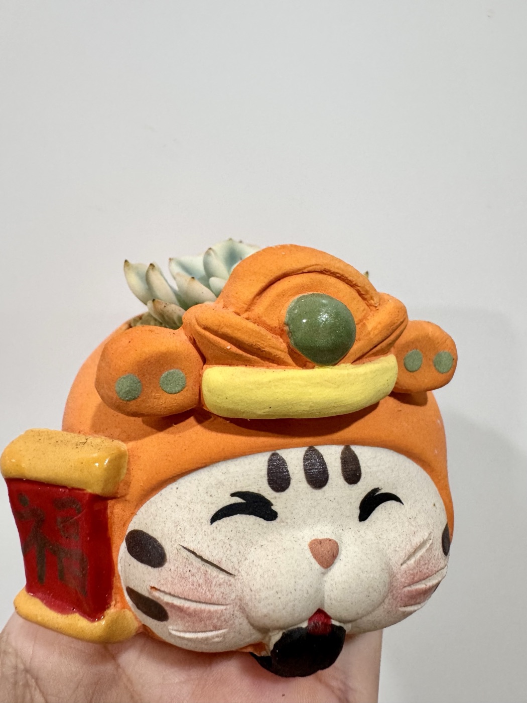 橘色招财猫造型花盆，带金元宝和福字，里面种着多肉
